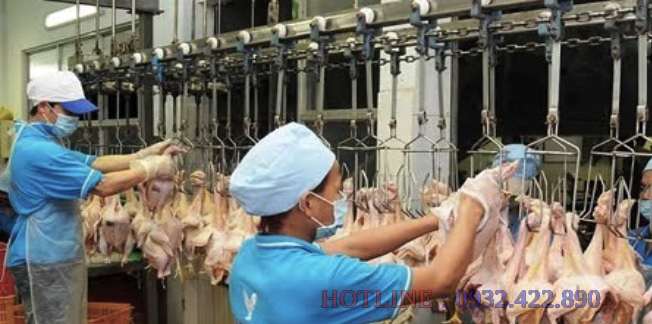 Xử lý nước thải lò giết mổ